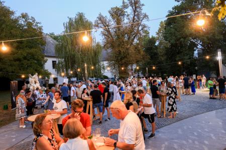 24504X1105 – kopija